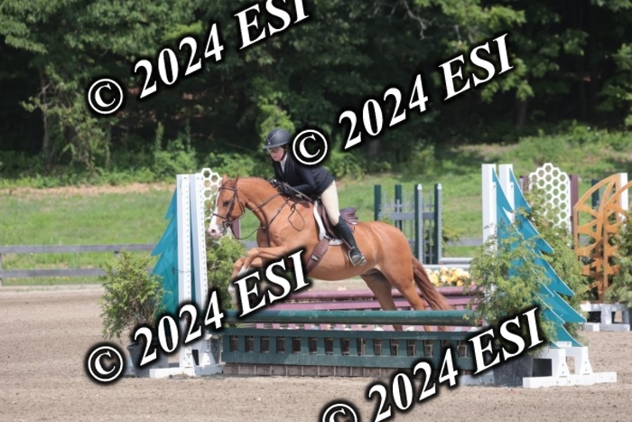 628SC1_8280