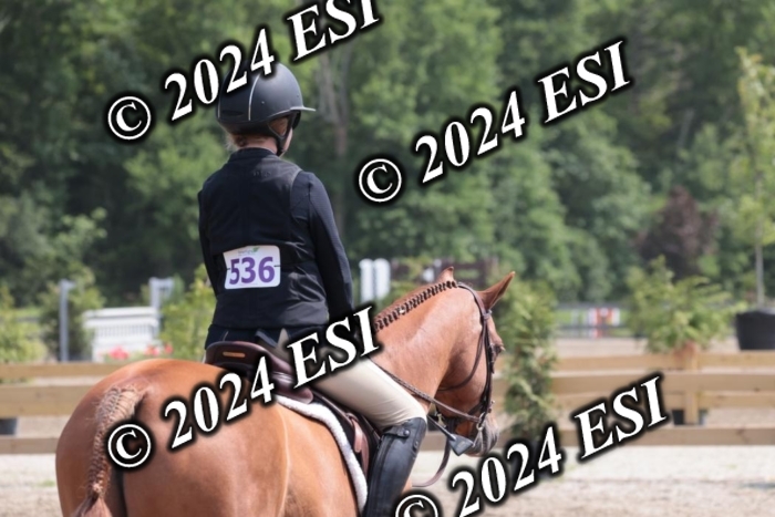 628SC1_8285