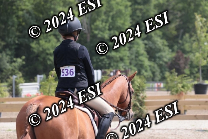628SC1_8286