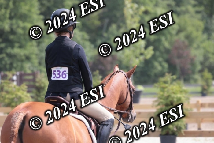 628SC1_8287
