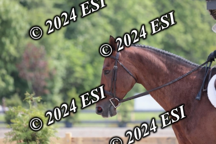 628SC1_8292