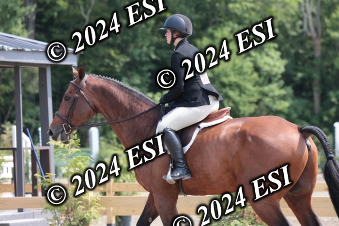 628SC1_8294