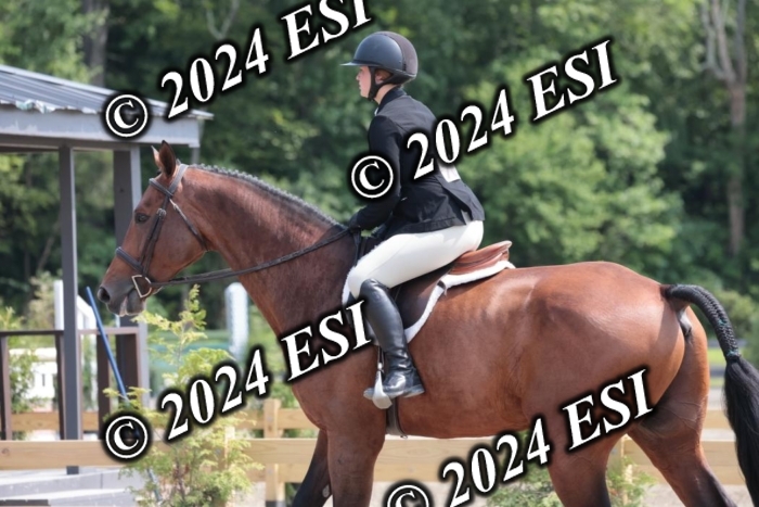 628SC1_8295