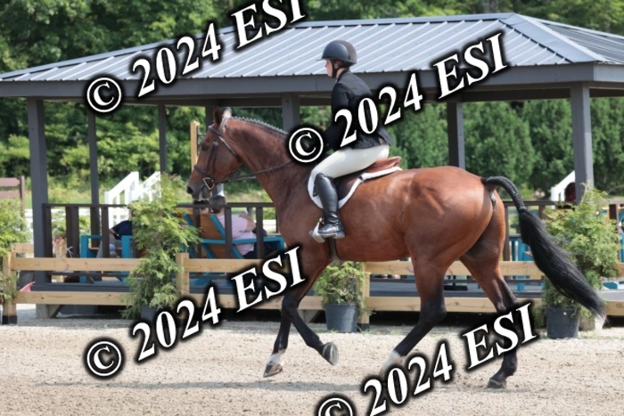 628SC1_8296
