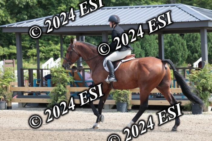 628SC1_8297