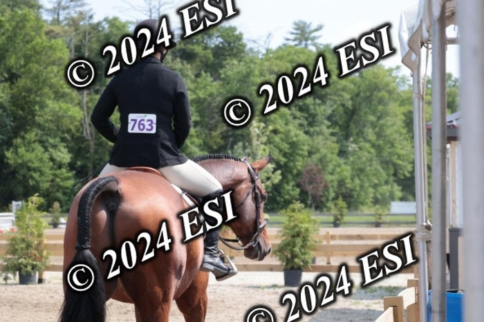 628SC1_8315