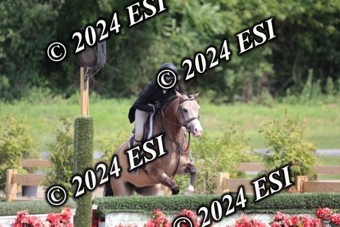 628SC1_8318