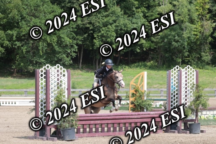 628SC1_8327