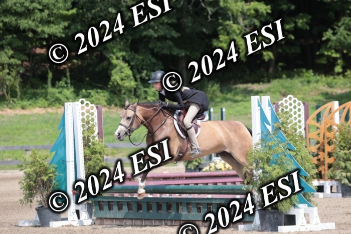 628SC1_8331