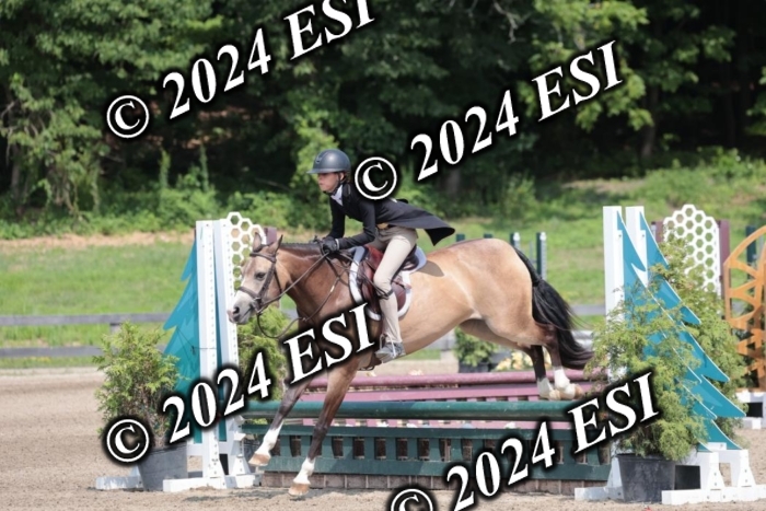 628SC1_8333