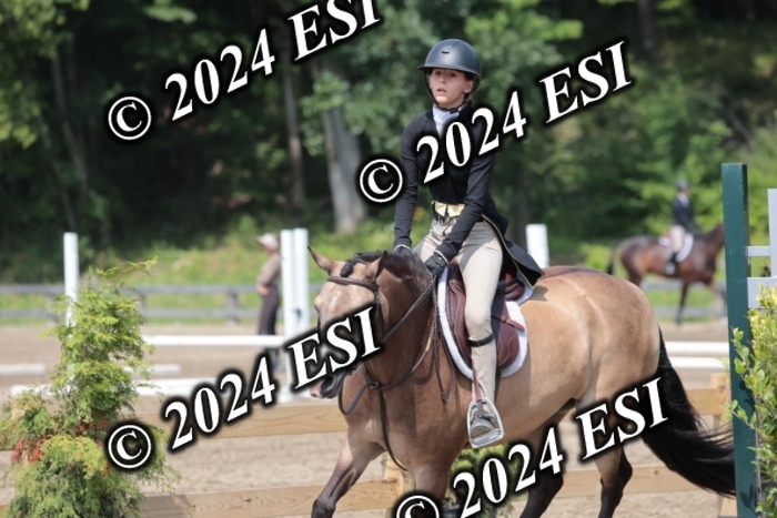 628SC1_8336