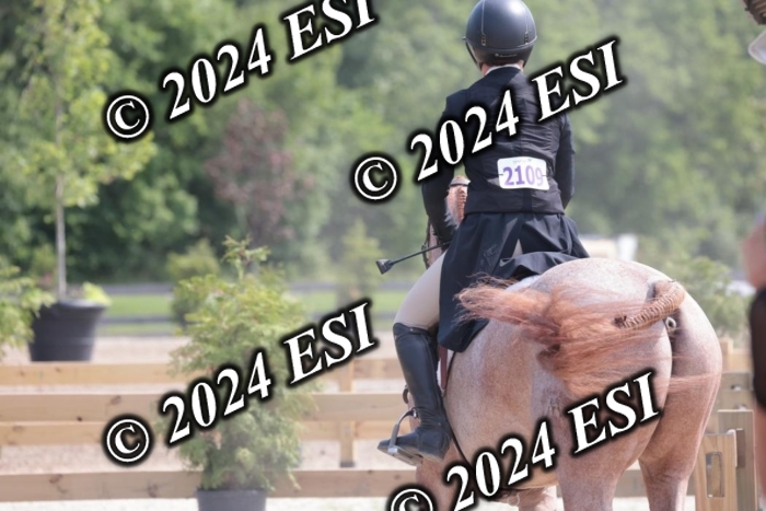 628SC1_8342