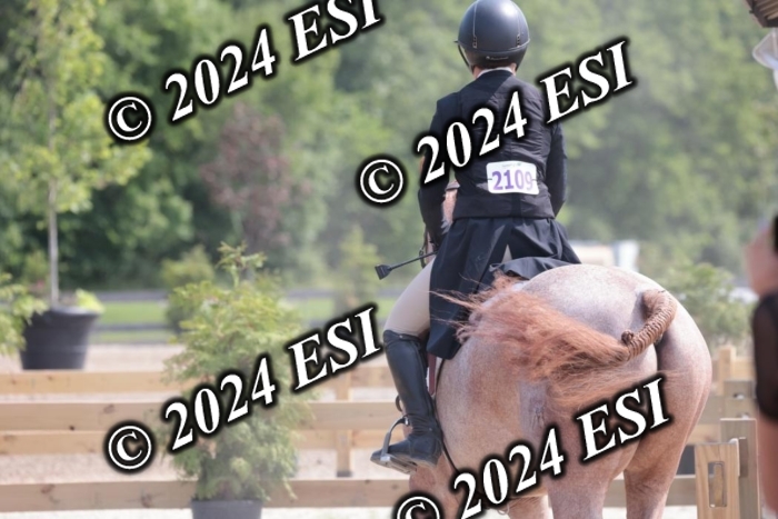 628SC1_8343