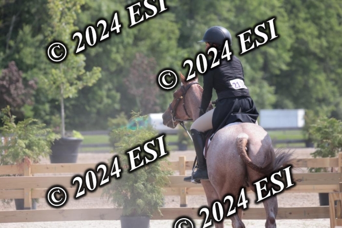 628SC1_8345