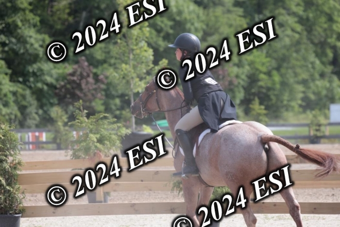 628SC1_8348
