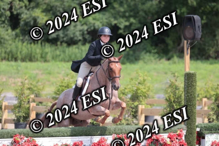628SC1_8358