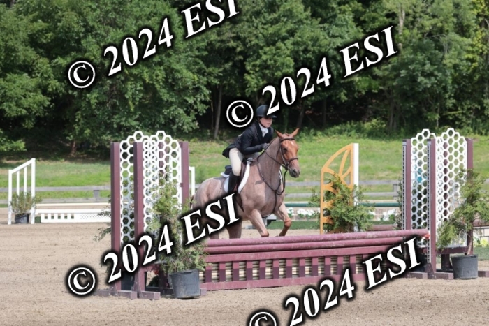 628SC1_8360