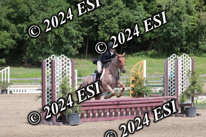 628SC1_8361