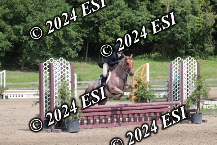 628SC1_8362