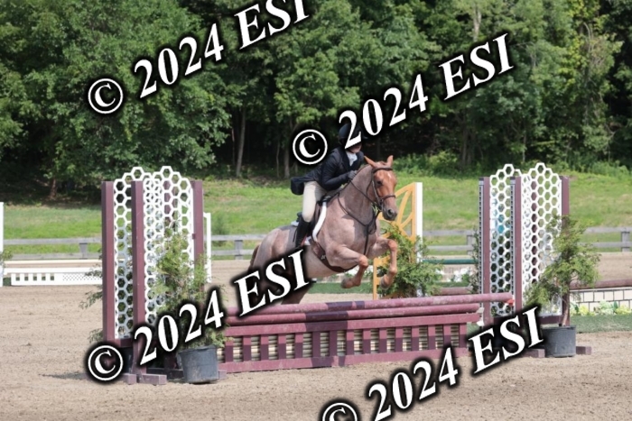 628SC1_8363