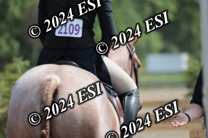 628SC1_8378