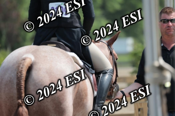 628SC1_8381