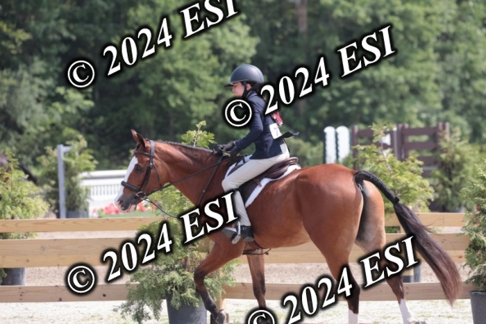 628SC1_8387