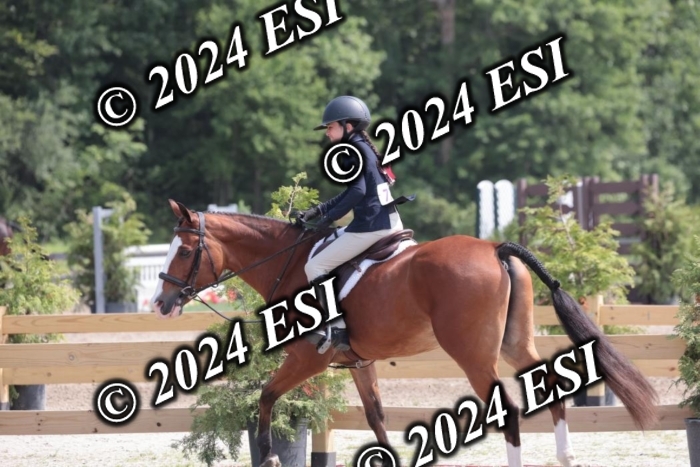 628SC1_8388