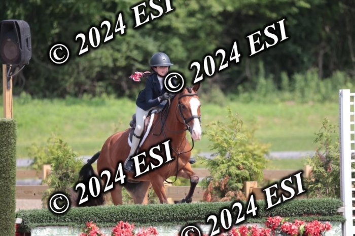 628SC1_8391
