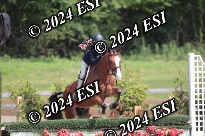 628SC1_8393