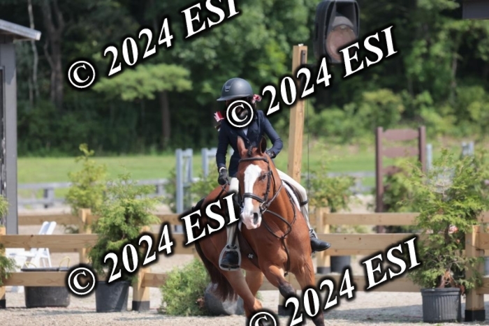 628SC1_8396