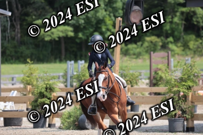 628SC1_8397