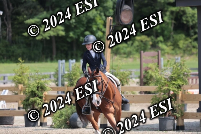 628SC1_8398