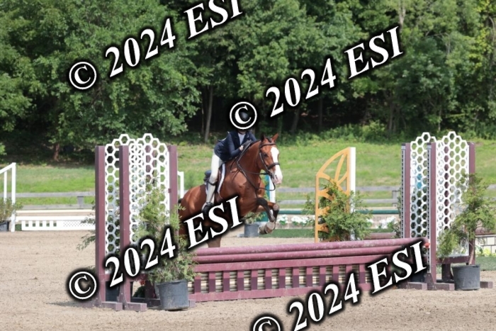 628SC1_8399