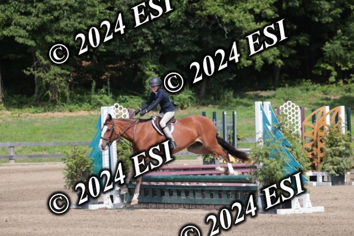 628SC1_8407
