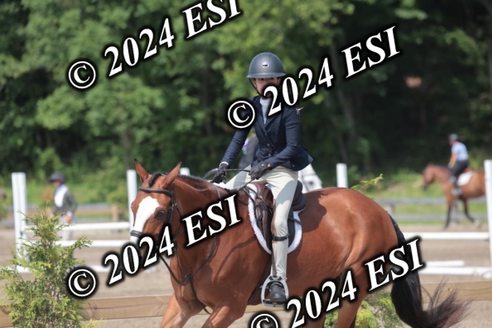 628SC1_8408