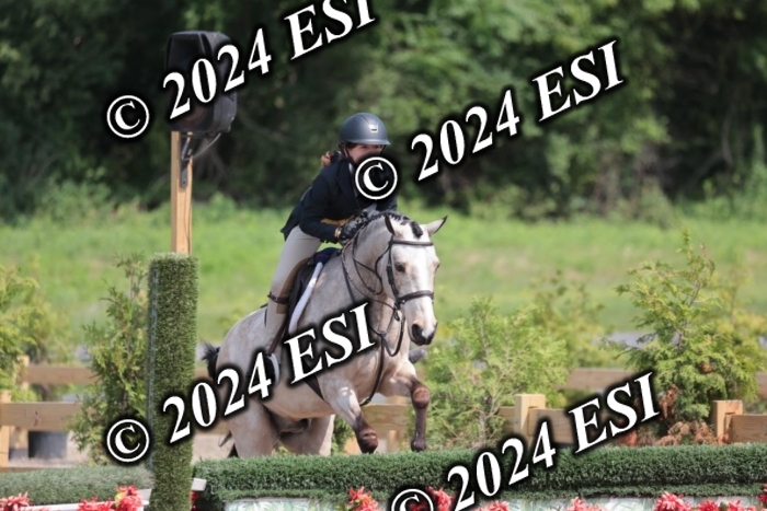 628SC1_8427