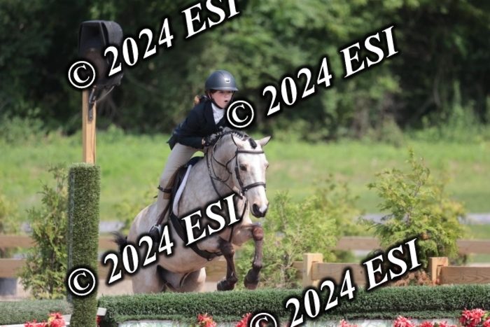 628SC1_8428