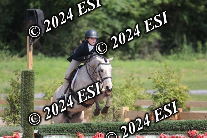 628SC1_8429