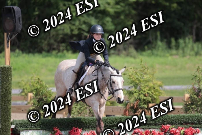 628SC1_8433