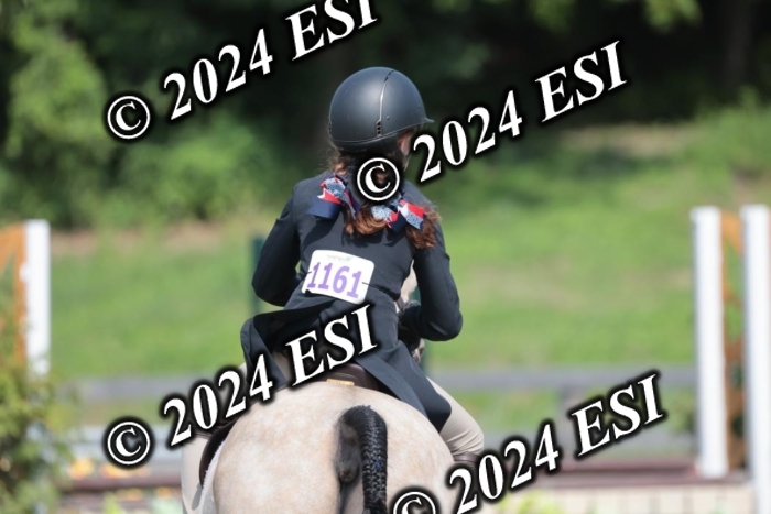 628SC1_8436