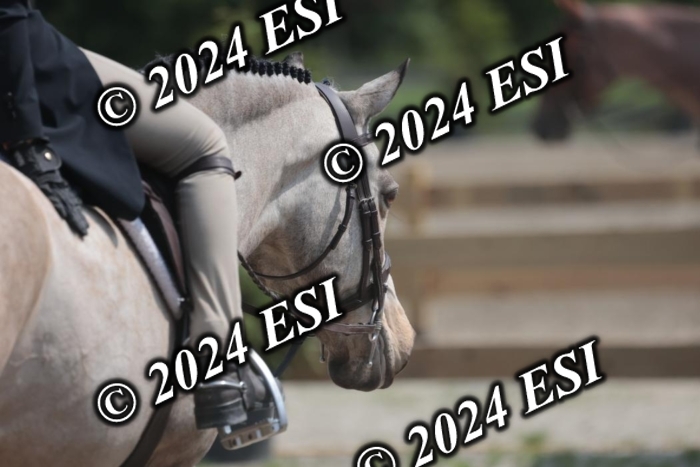 628SC1_8457