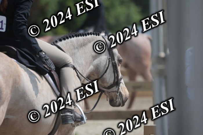 628SC1_8459
