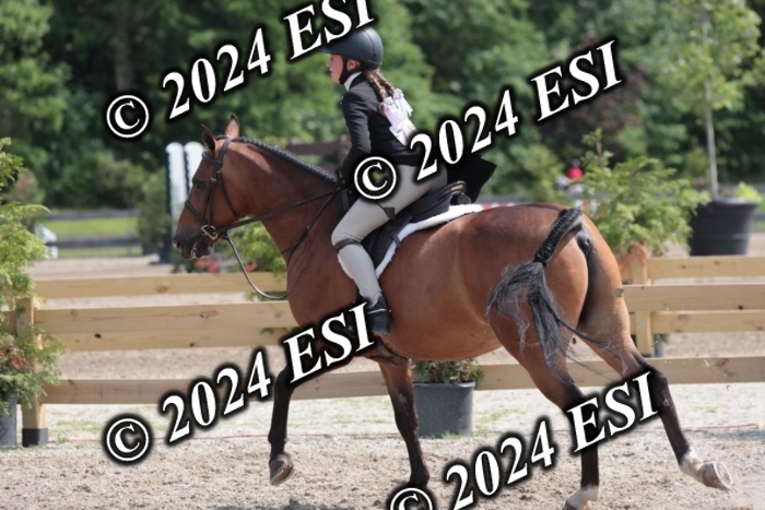 628SC1_8464