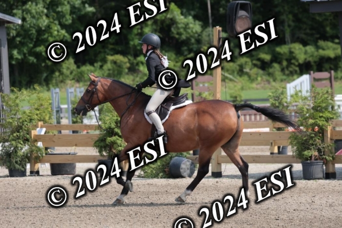 628SC1_8468