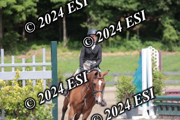 628SC1_8483