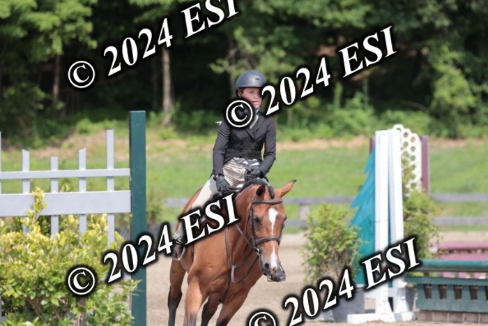 628SC1_8484
