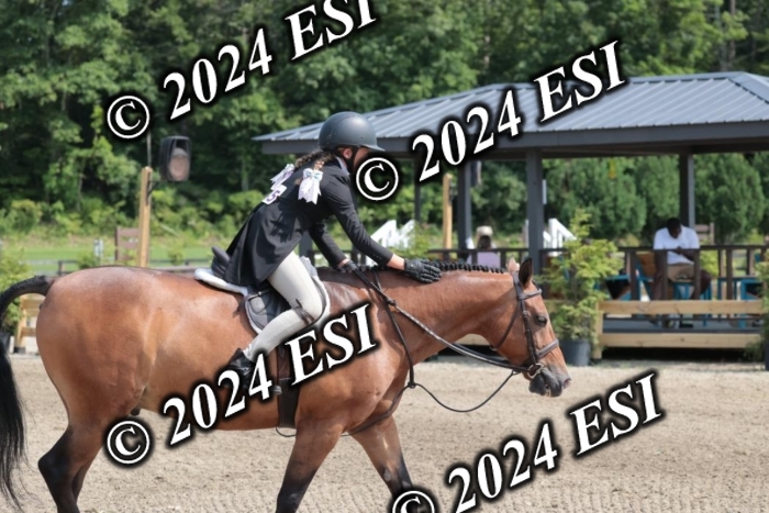 628SC1_8485