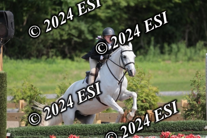 628SC1_8495