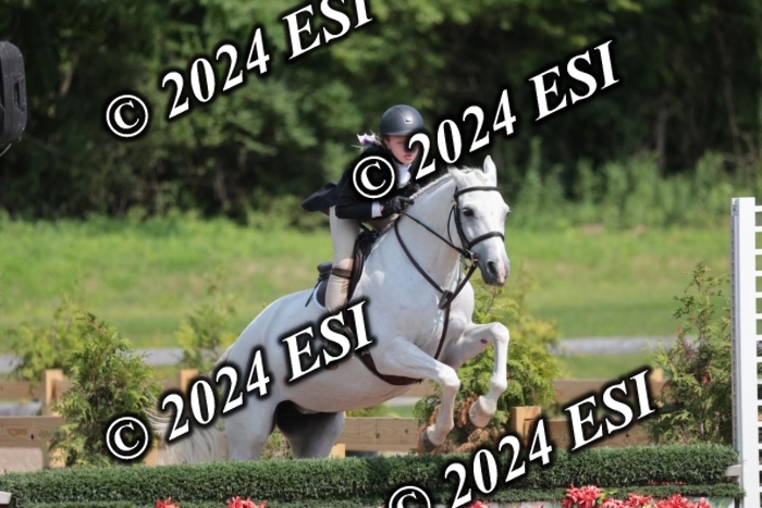 628SC1_8496